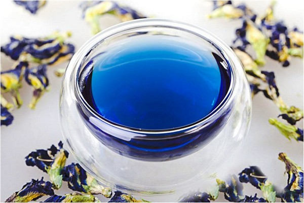 Тайский синий чай анчан и его полезные свойства